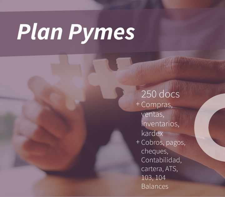 facturadeuna.com - Plan Pymes / mes
